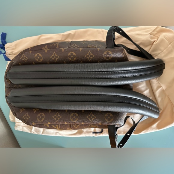 Louis Vuitton Palm Springs PM Monogram backpack - Picture 11 of 12